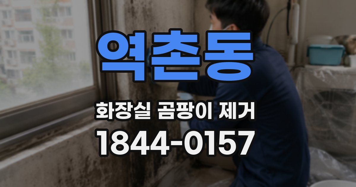 역촌동 화장실 곰팡이 제거