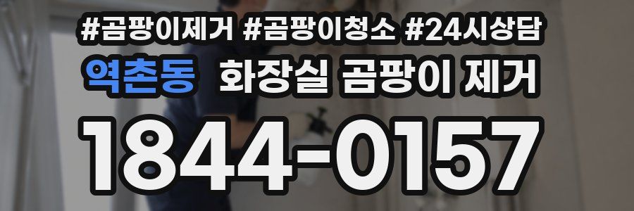 역촌동 화장실 곰팡이 제거
