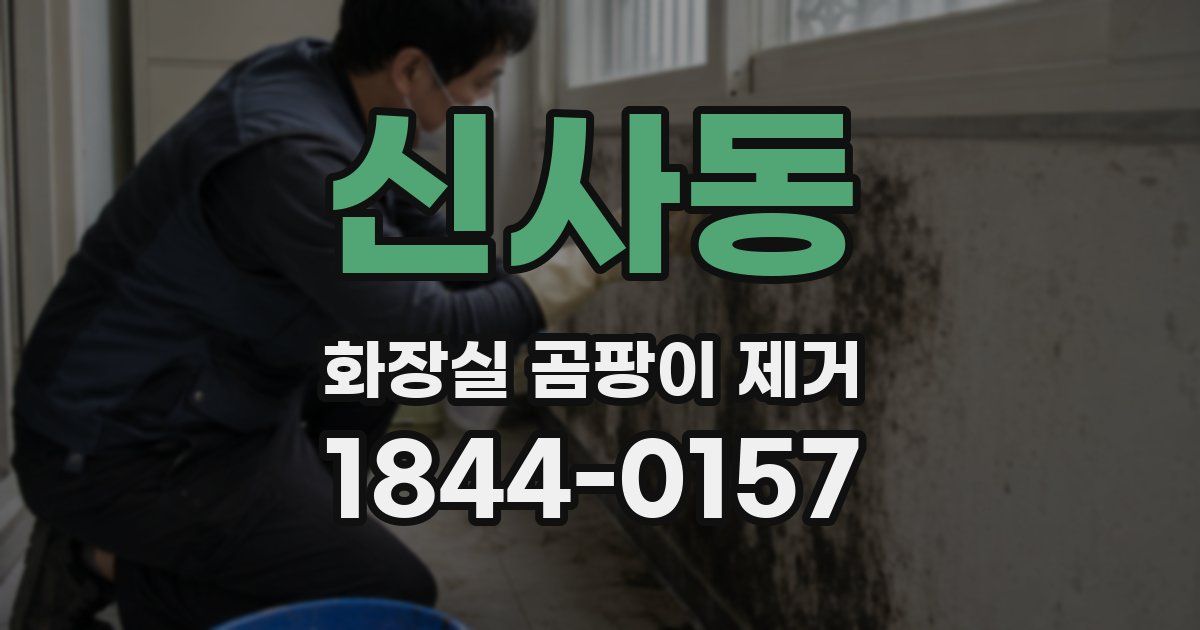 신사동 화장실 곰팡이 제거