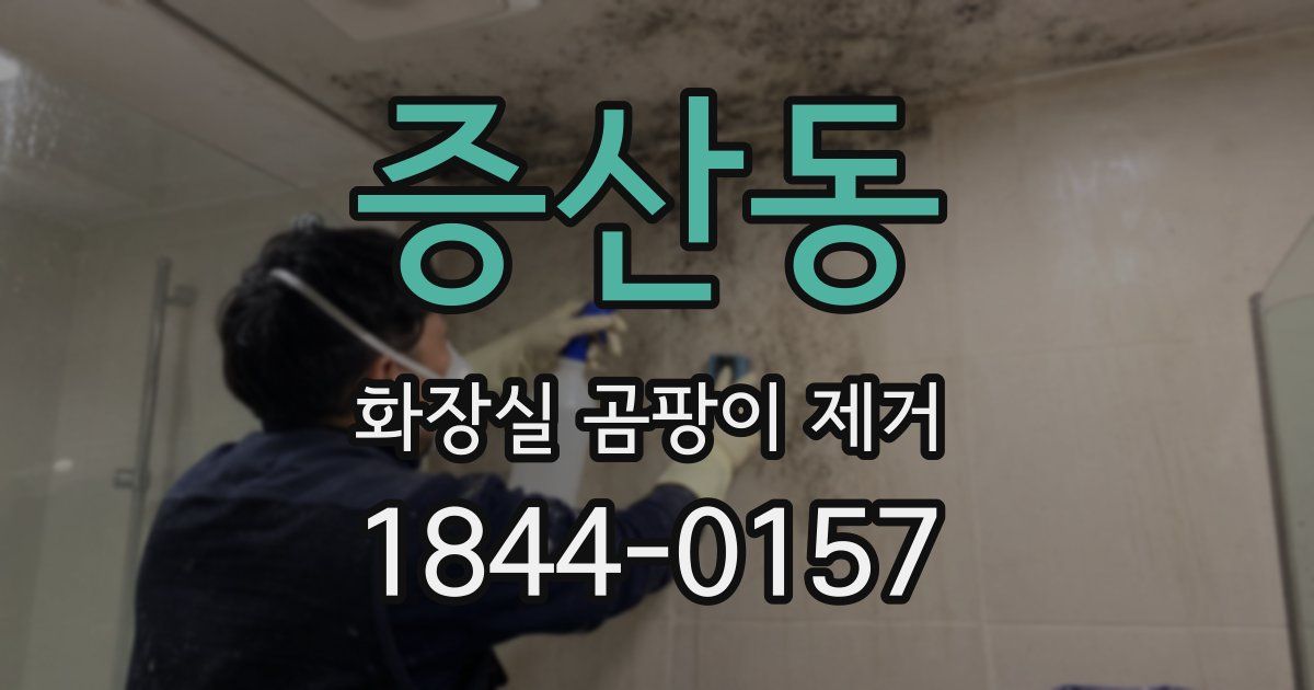 증산동 화장실 곰팡이 제거