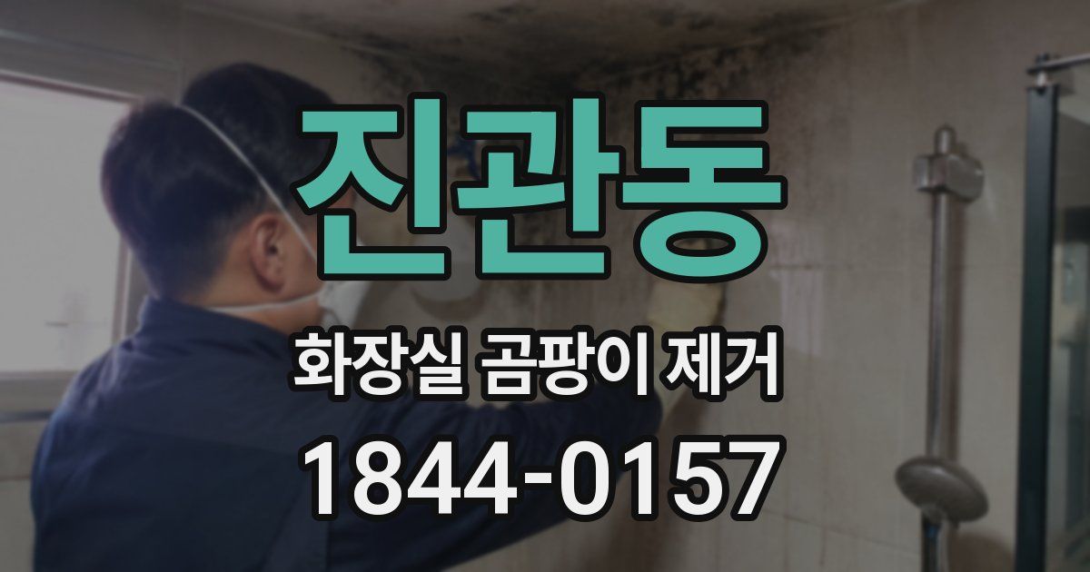 진관동 화장실 곰팡이 제거