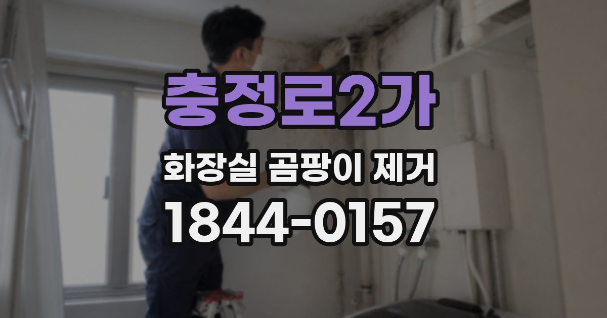 충정로2가 화장실 곰팡이 제거
