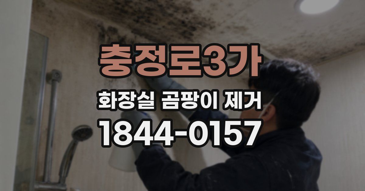 충정로3가 화장실 곰팡이 제거
