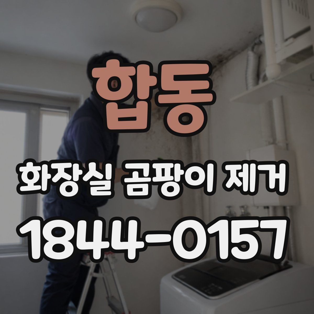 합동 화장실 곰팡이 제거 오래된 검은 얼룩 판단 기준 정리