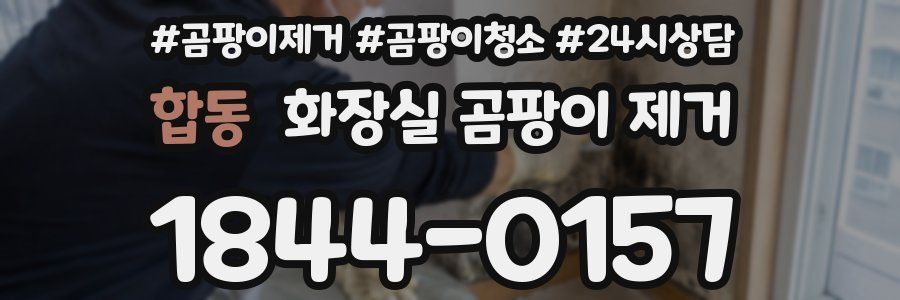 합동 화장실 곰팡이 제거