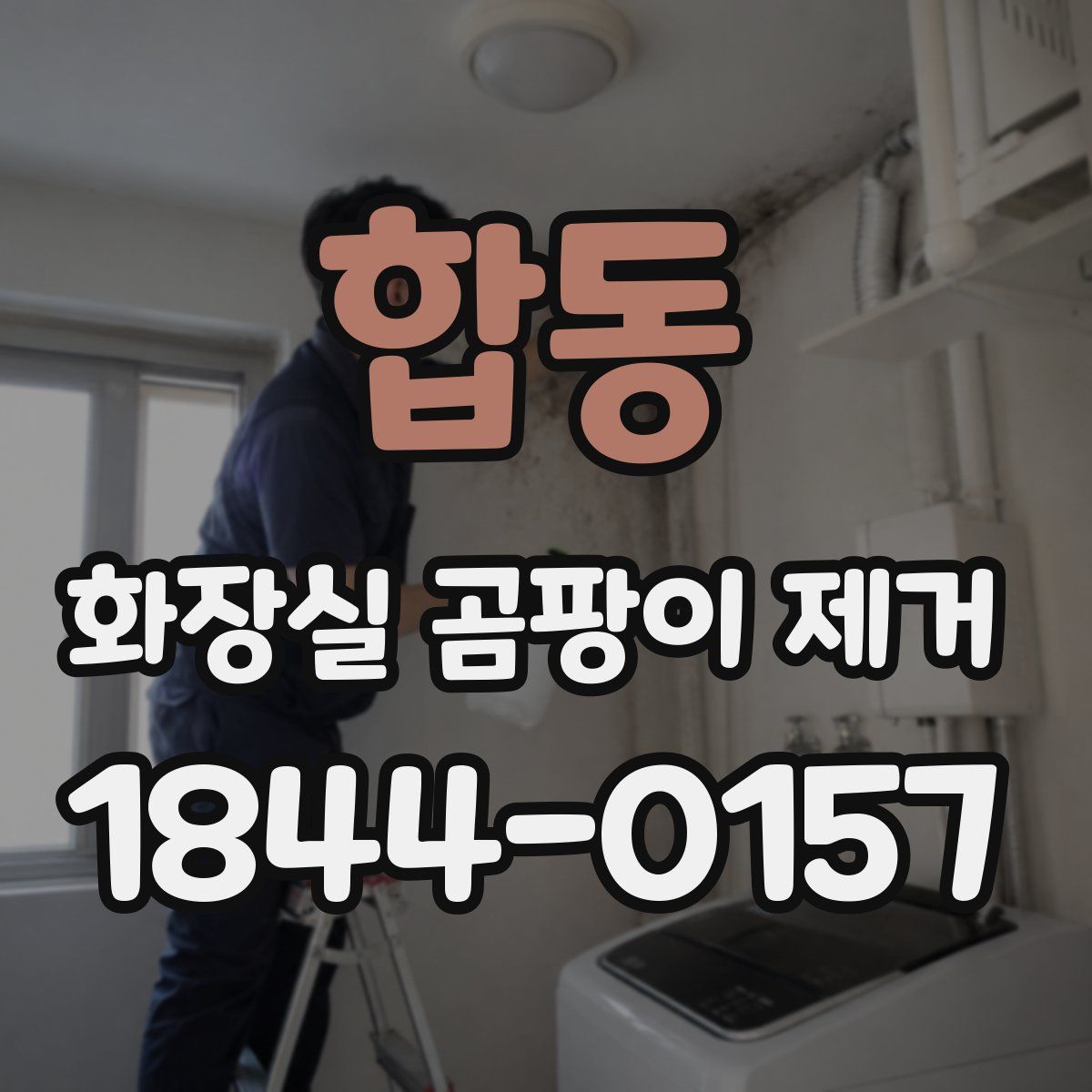 합동 화장실 곰팡이 제거