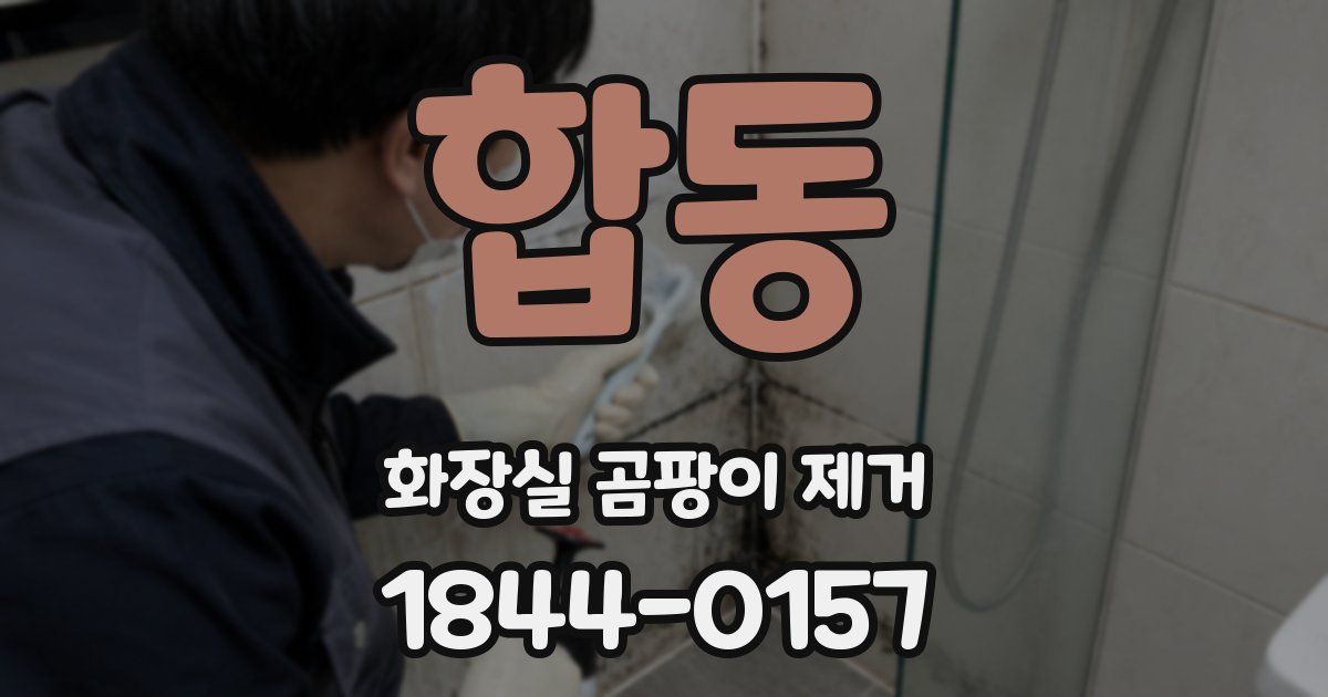 합동 화장실 곰팡이 제거