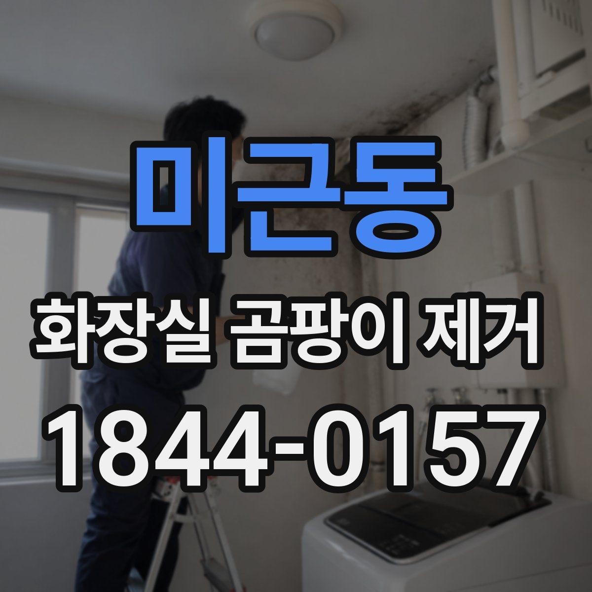 미근동 화장실 곰팡이 제거 벽체 손상 징후가 보일 때 확인할 점