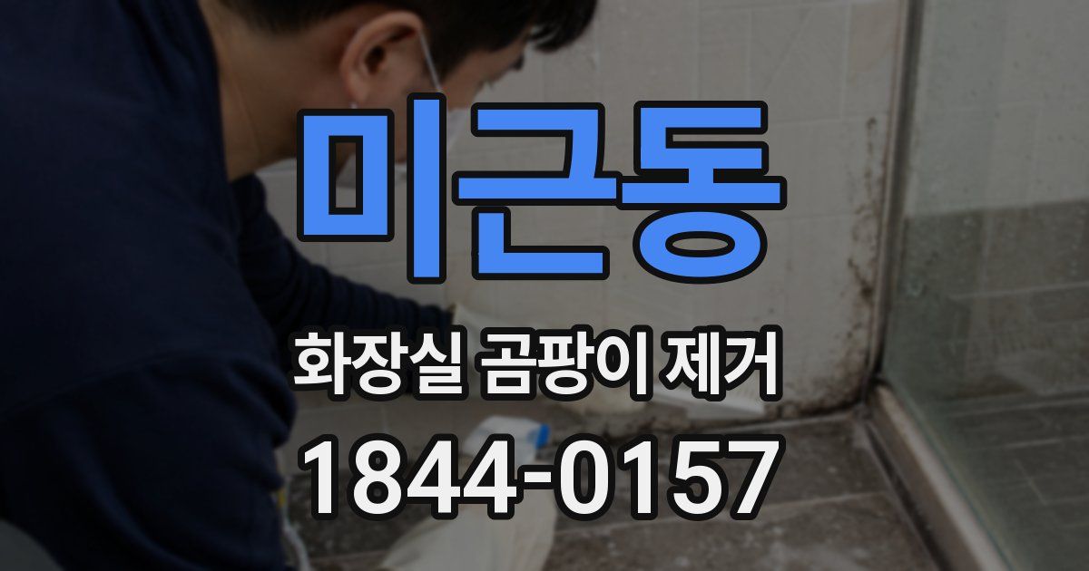 미근동 화장실 곰팡이 제거