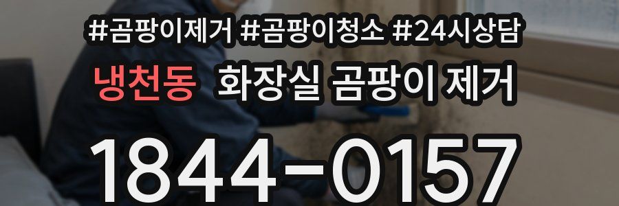 냉천동 화장실 곰팡이 제거