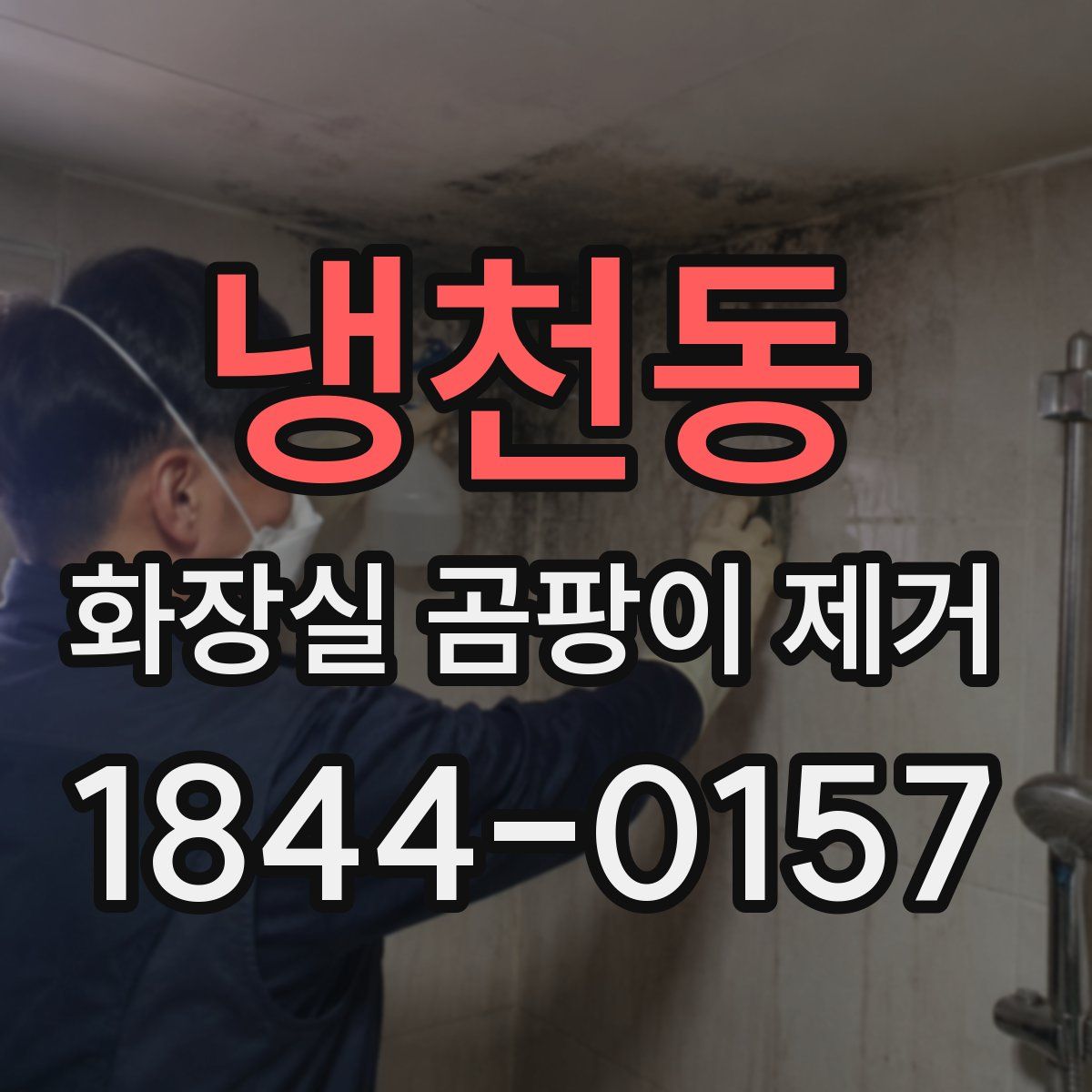 냉천동 화장실 곰팡이 제거