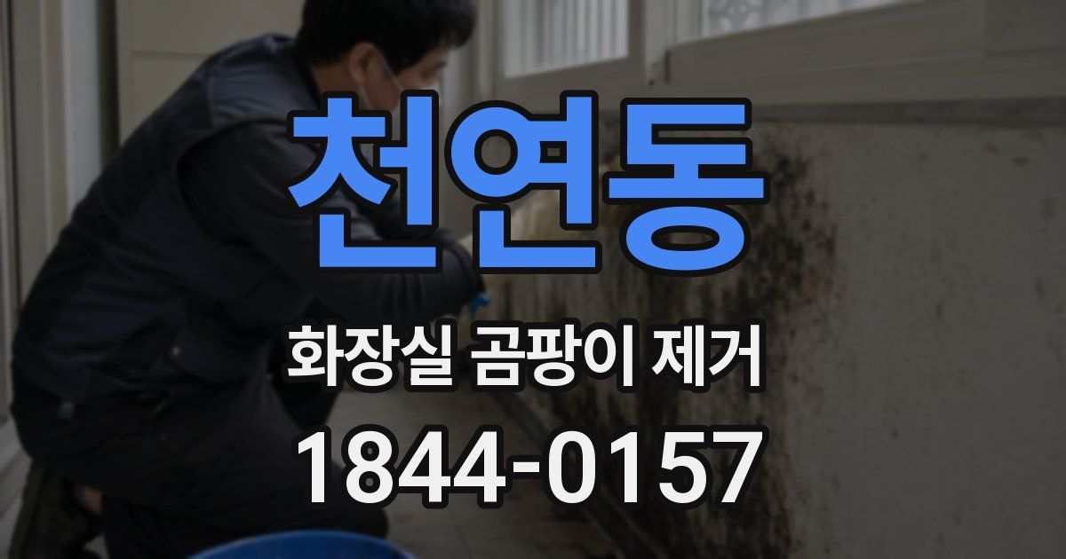 천연동 화장실 곰팡이 제거