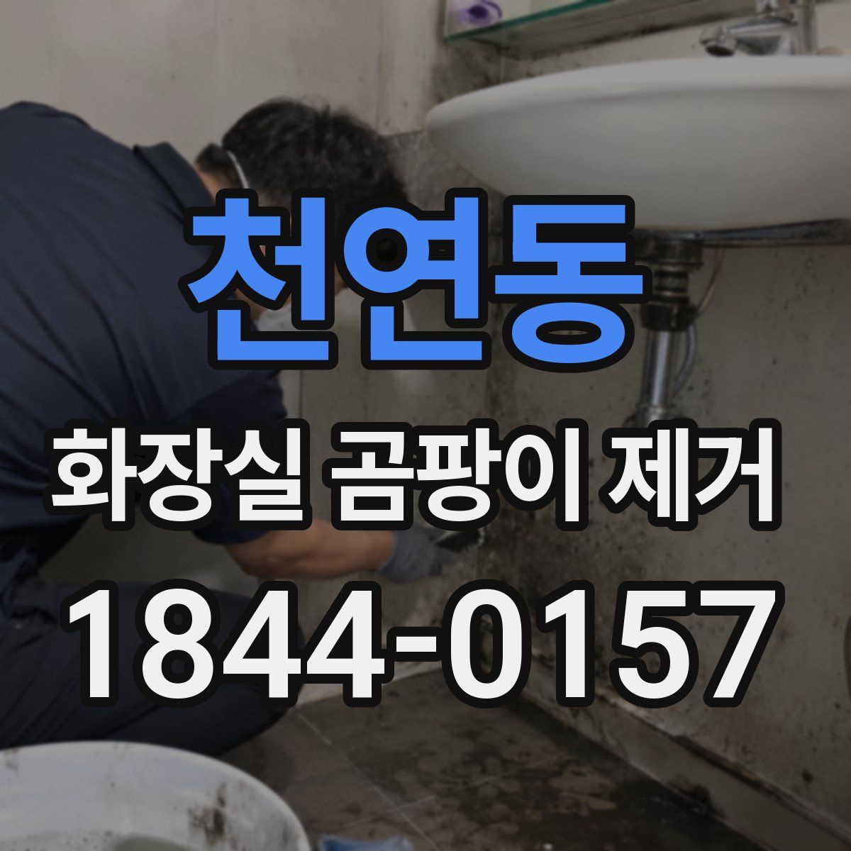 천연동 화장실 곰팡이 제거