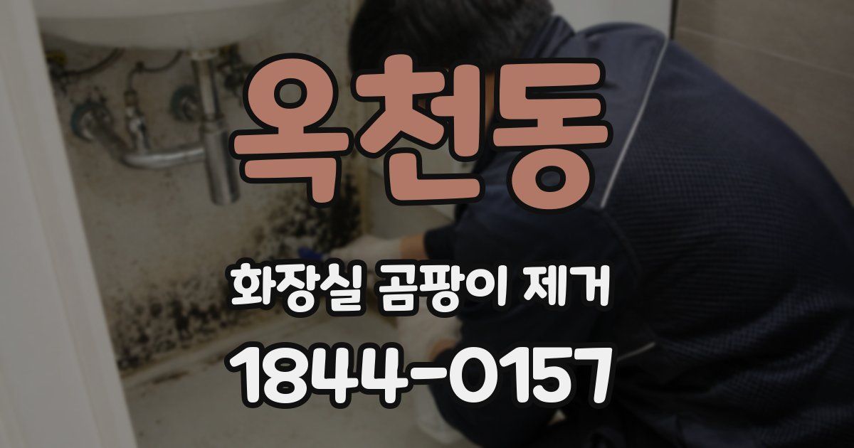 옥천동 화장실 곰팡이 제거