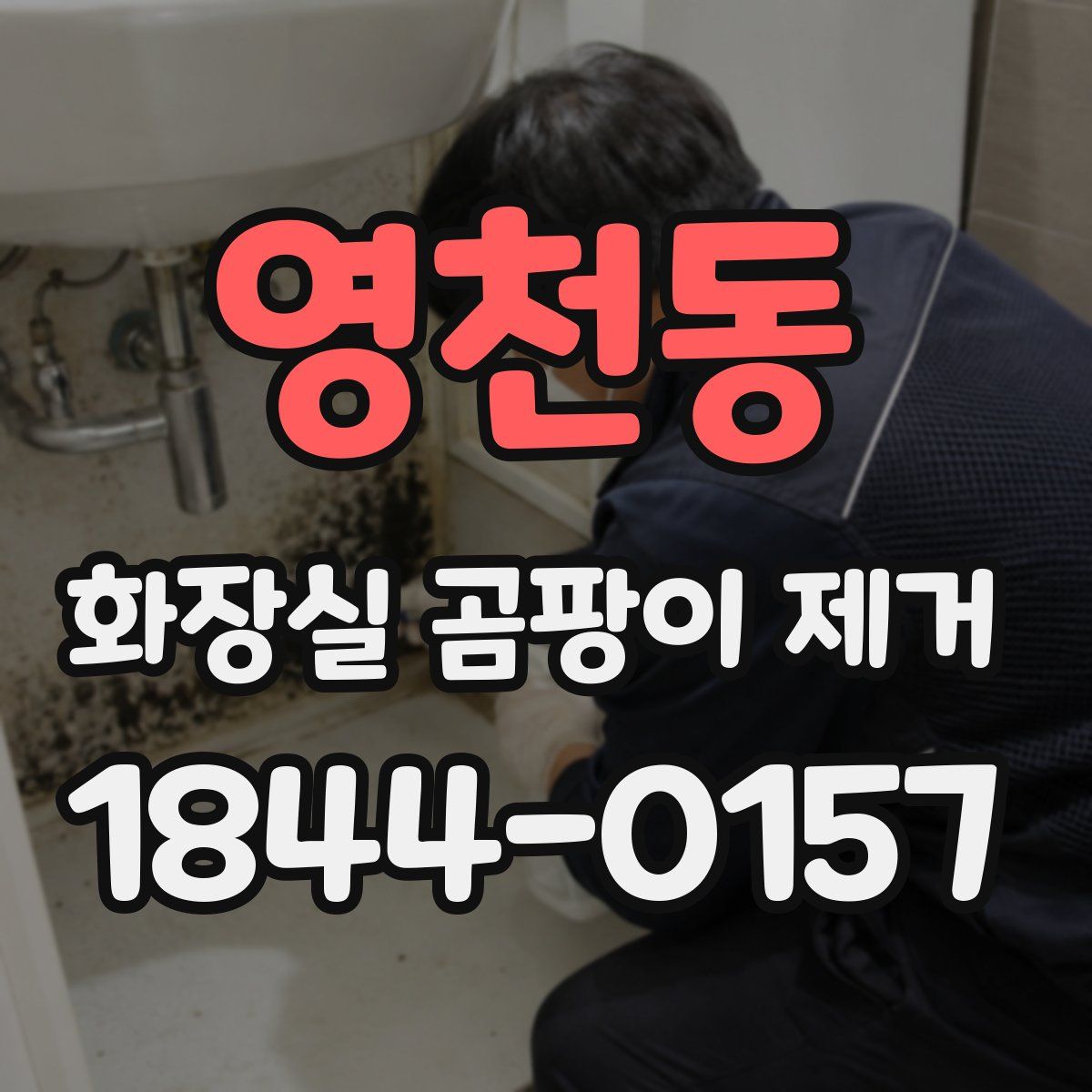 영천동 화장실 곰팡이 제거