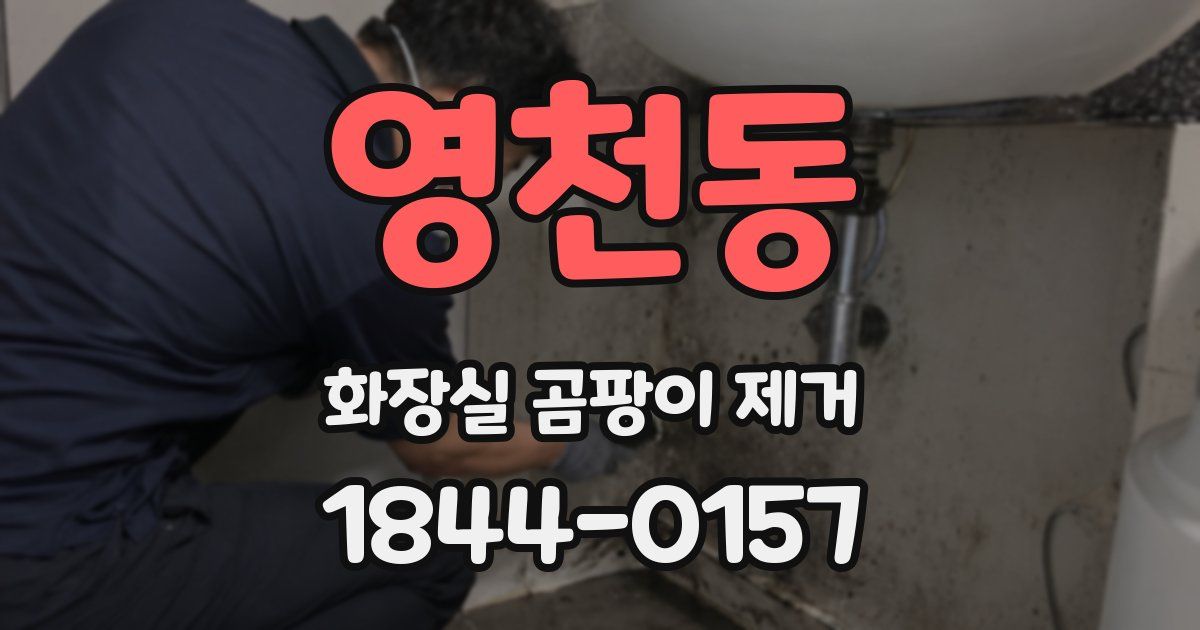 영천동 화장실 곰팡이 제거