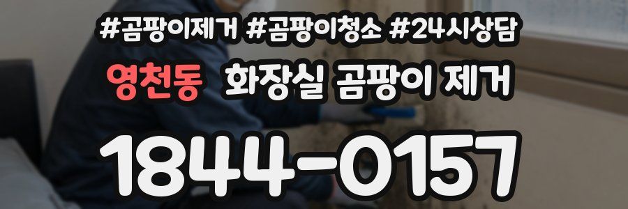 영천동 화장실 곰팡이 제거