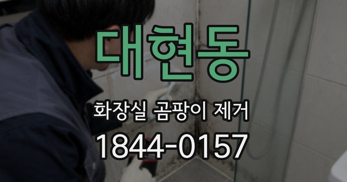 대현동 화장실 곰팡이 제거