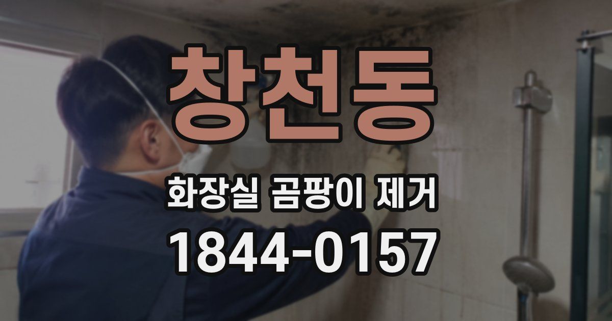 창천동 화장실 곰팡이 제거