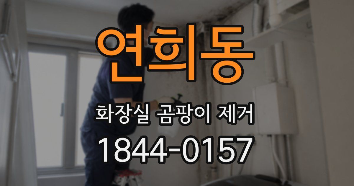 연희동 화장실 곰팡이 제거