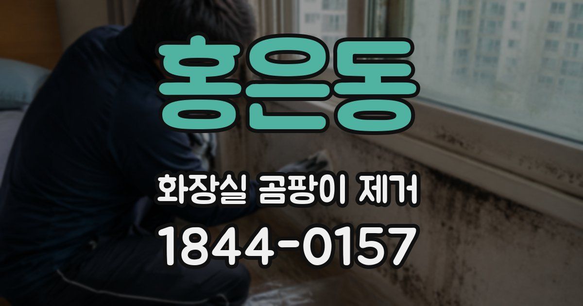 홍은동 화장실 곰팡이 제거