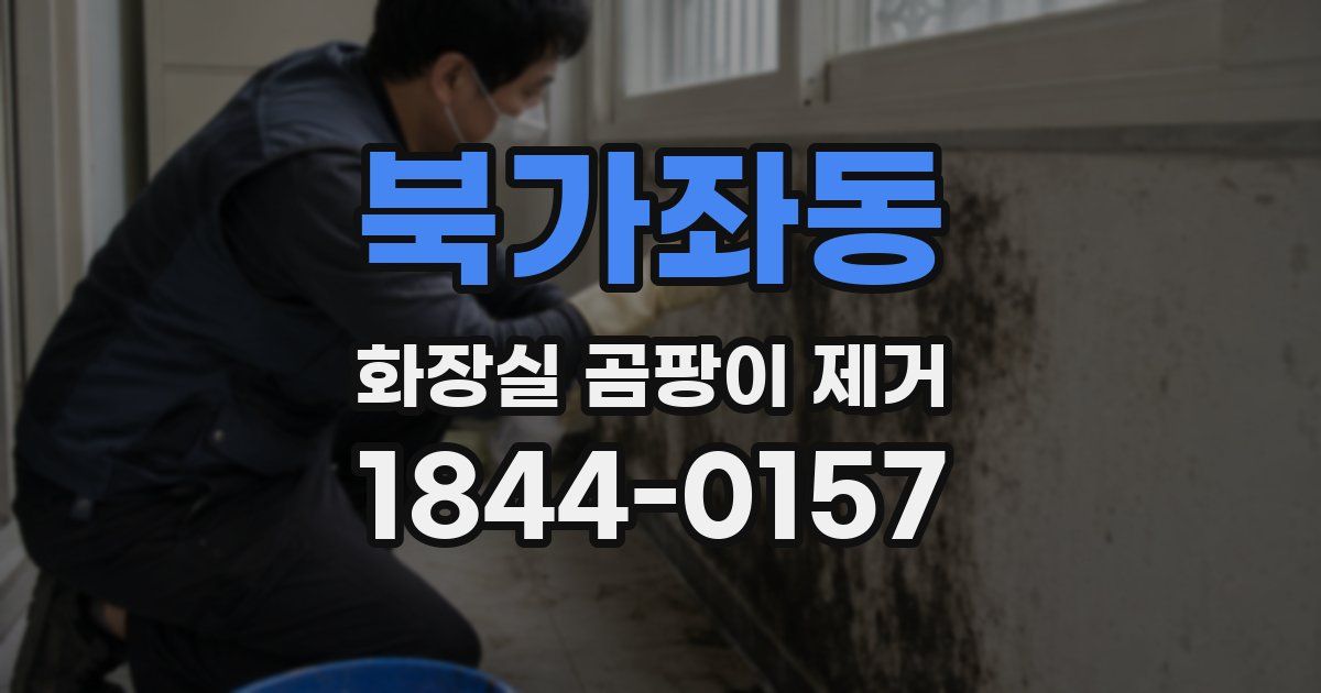 북가좌동 화장실 곰팡이 제거