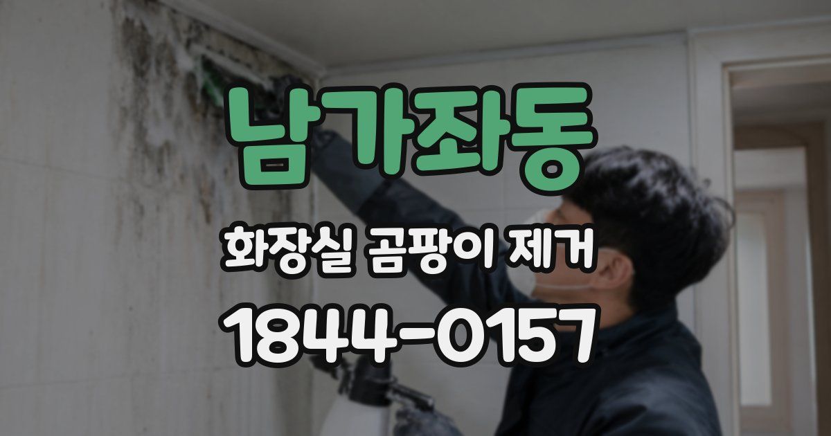남가좌동 화장실 곰팡이 제거