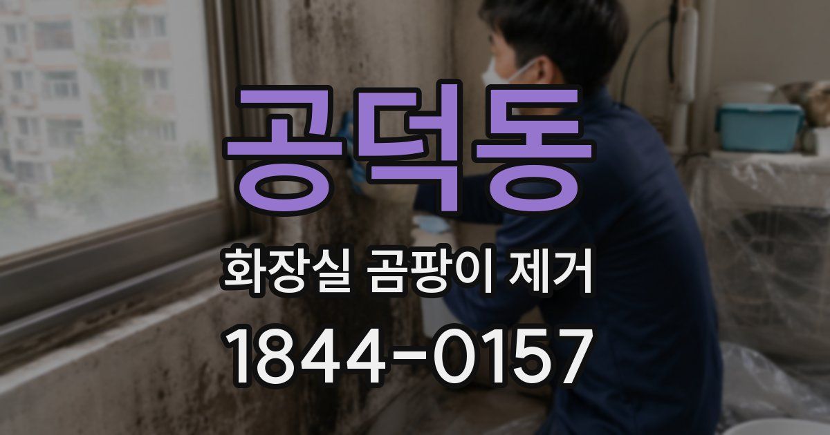 공덕동 화장실 곰팡이 제거