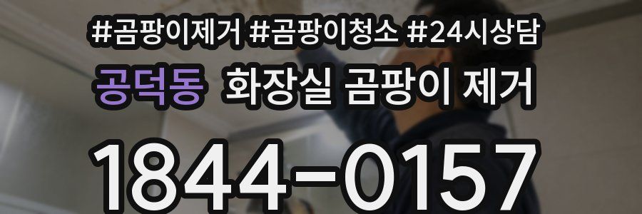 공덕동 화장실 곰팡이 제거