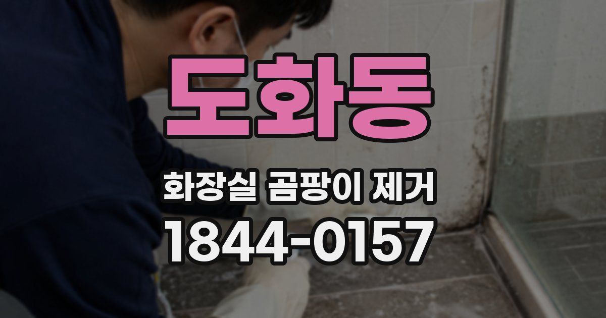 도화동 화장실 곰팡이 제거