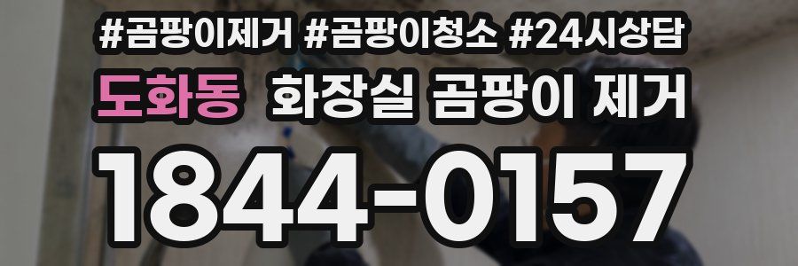 도화동 화장실 곰팡이 제거