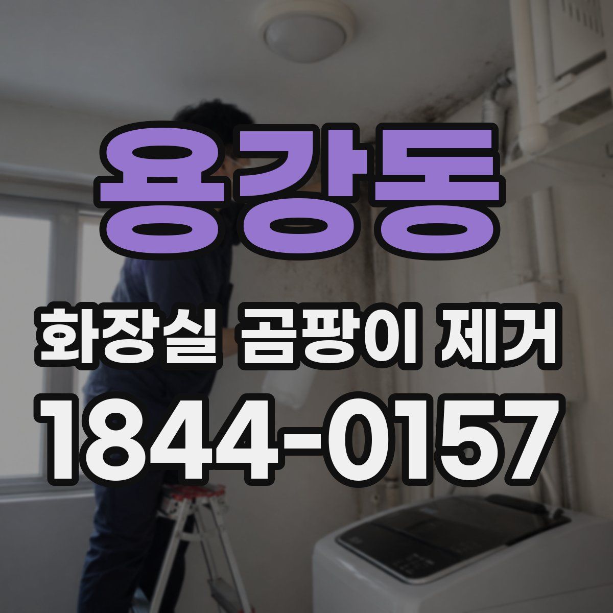 용강동 화장실 곰팡이 제거