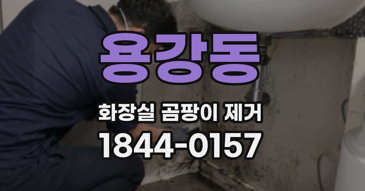 용강동 화장실 곰팡이 제거