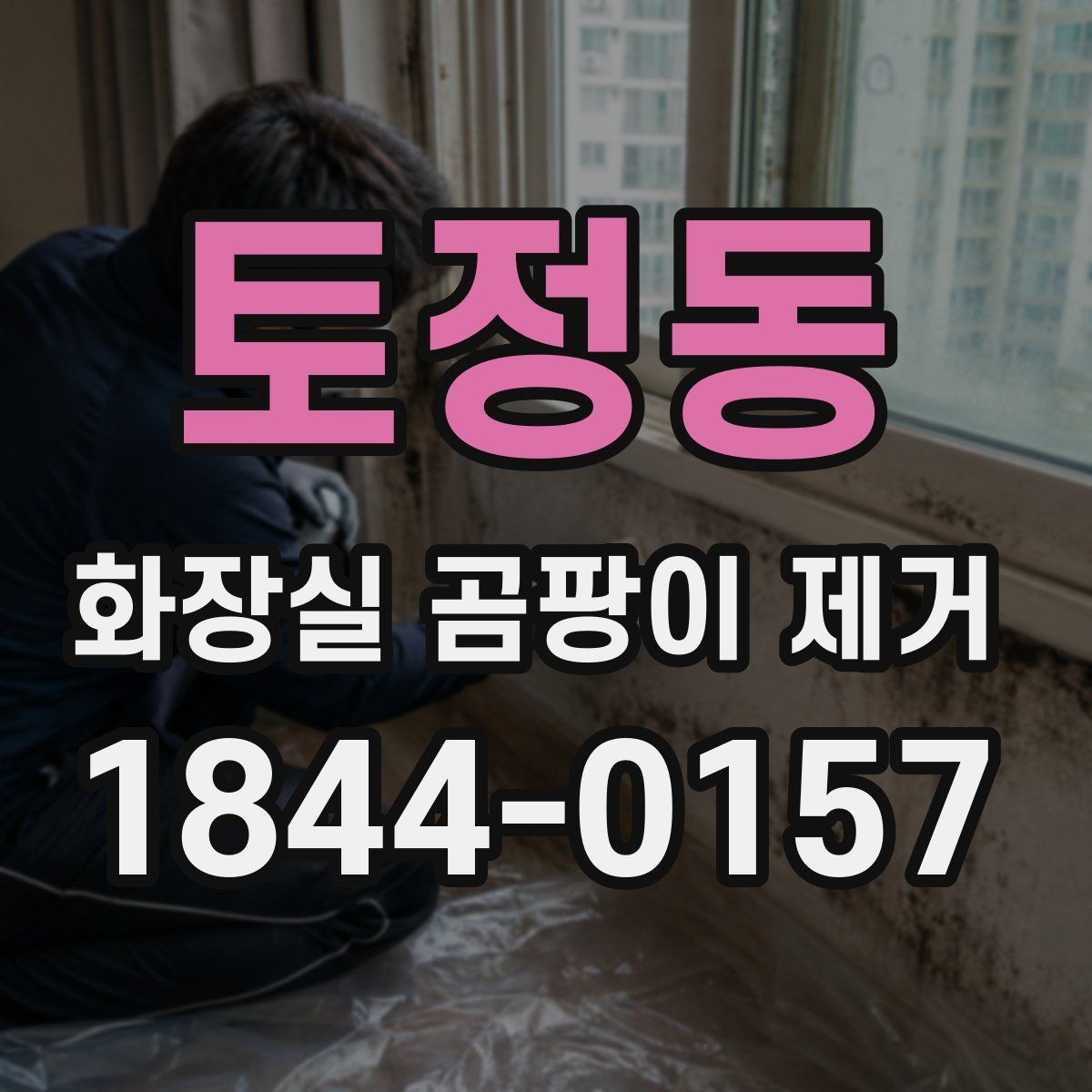 토정동 화장실 곰팡이 제거 베란다 없는 집의 환기 루틴 만들기
