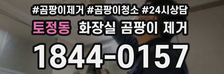 토정동 화장실 곰팡이 제거