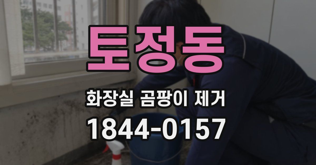 토정동 화장실 곰팡이 제거