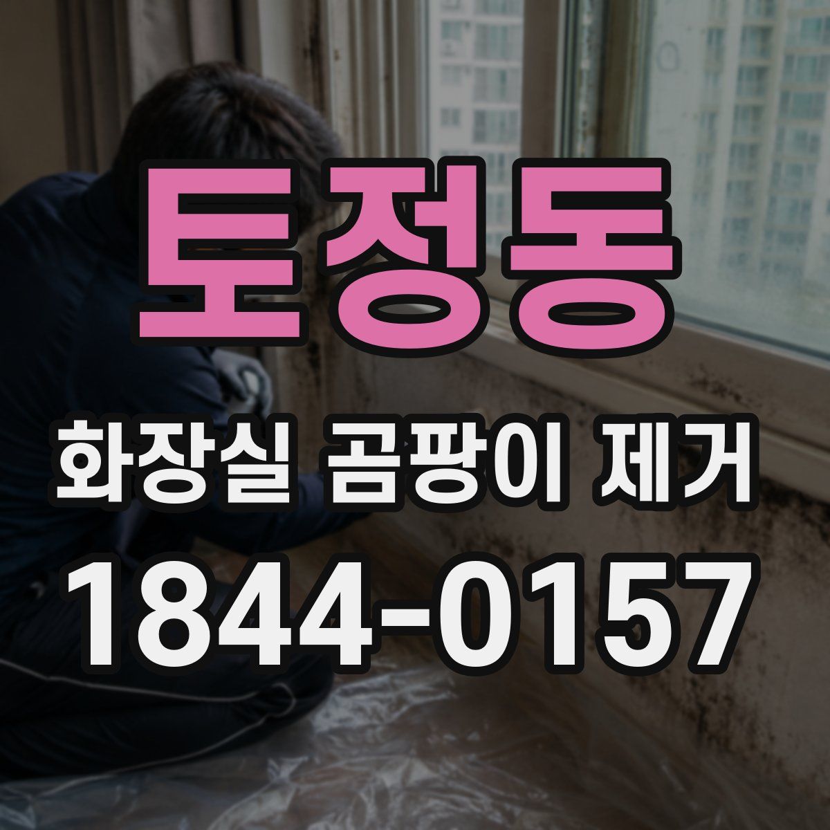토정동 화장실 곰팡이 제거