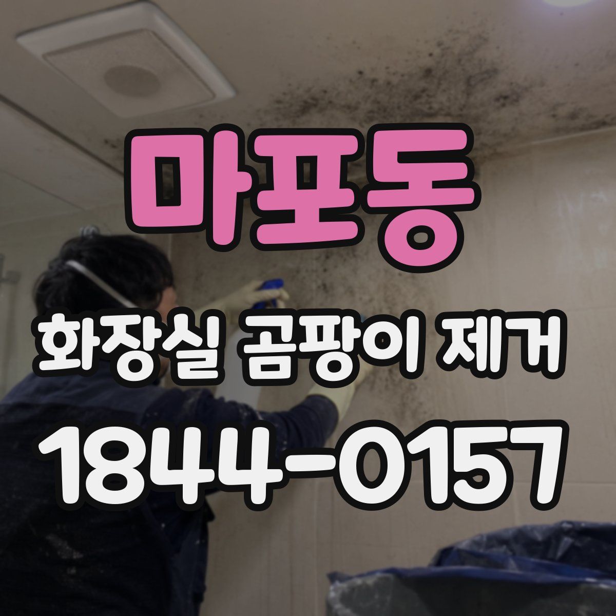 마포동 화장실 곰팡이 제거