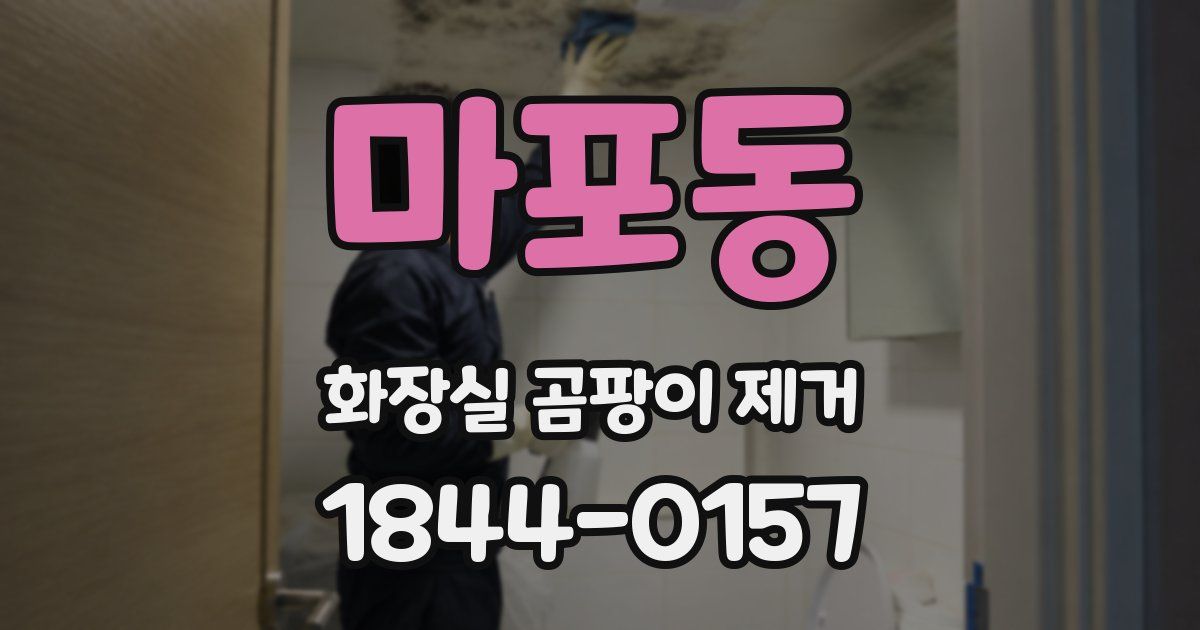 마포동 화장실 곰팡이 제거
