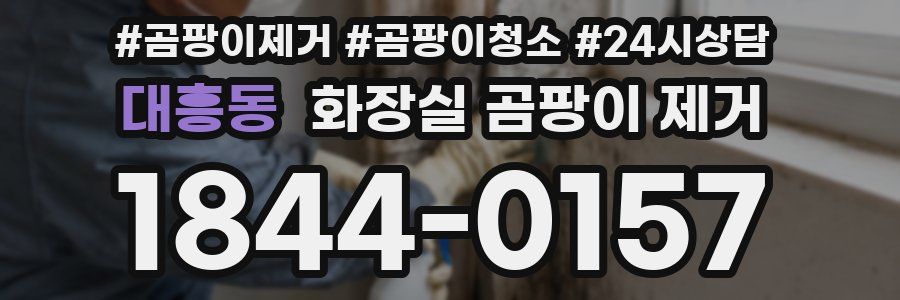 대흥동 화장실 곰팡이 제거