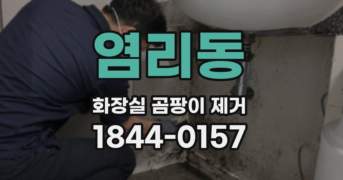 염리동 화장실 곰팡이 제거