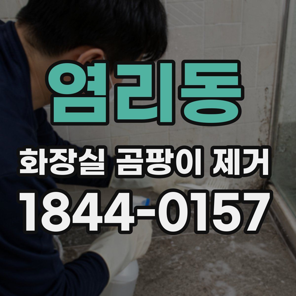 염리동 화장실 곰팡이 제거