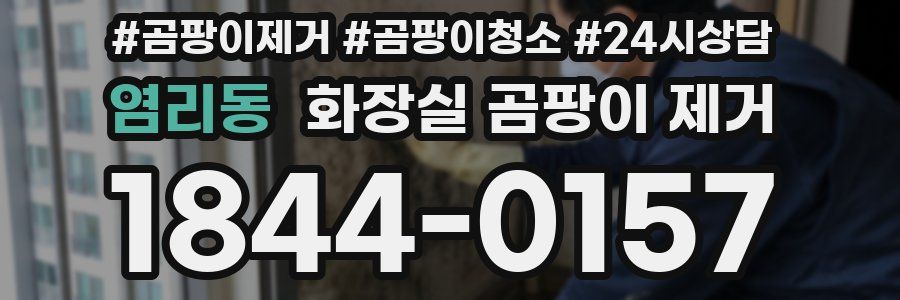 염리동 화장실 곰팡이 제거