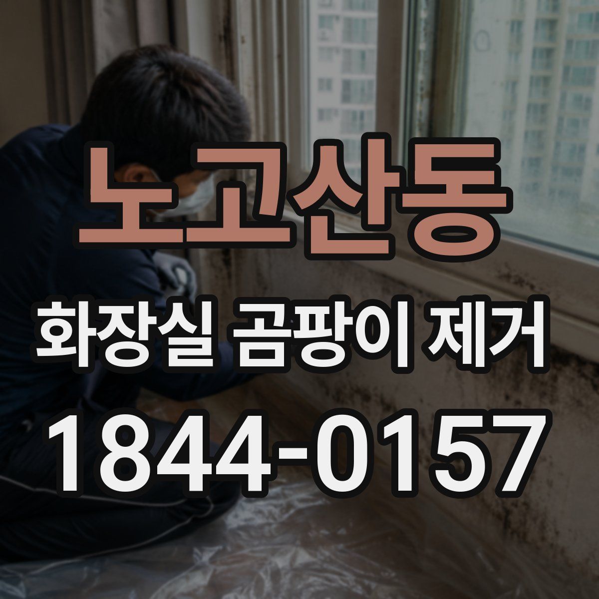 노고산동 화장실 곰팡이 제거