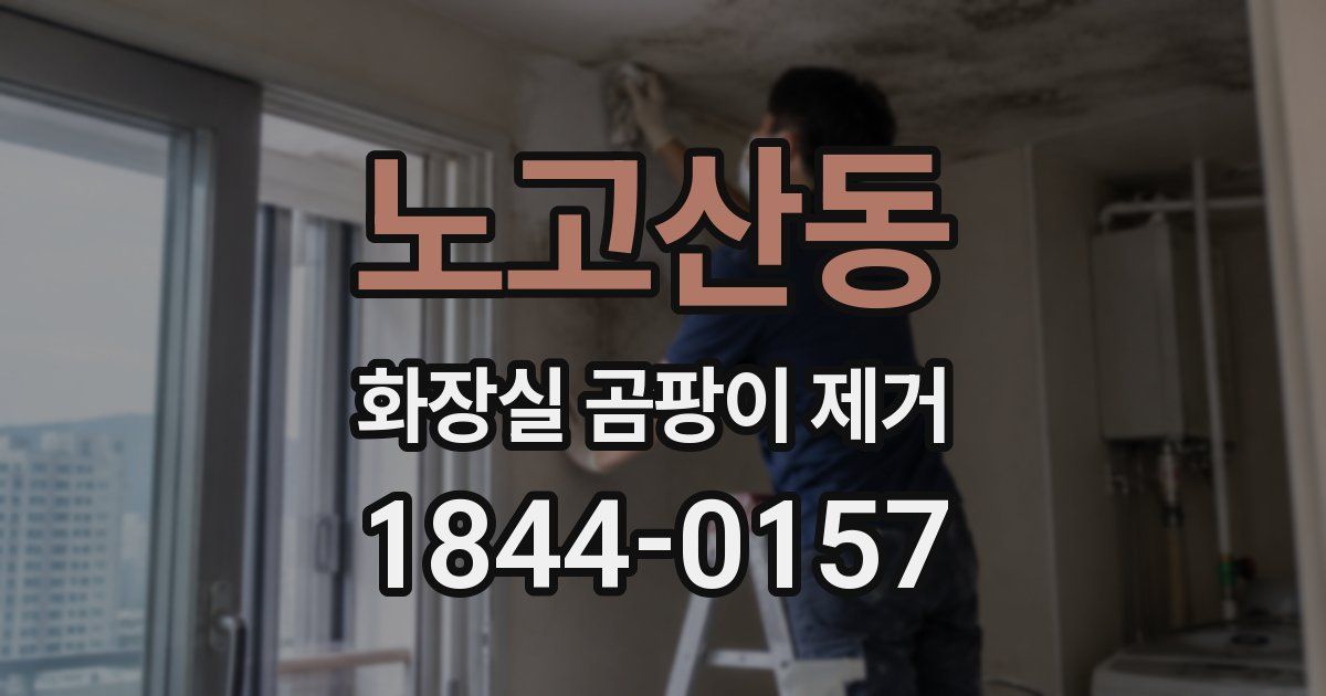 노고산동 화장실 곰팡이 제거