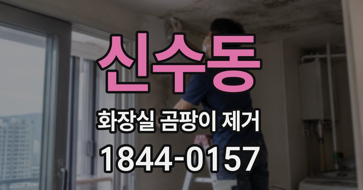 신수동 화장실 곰팡이 제거