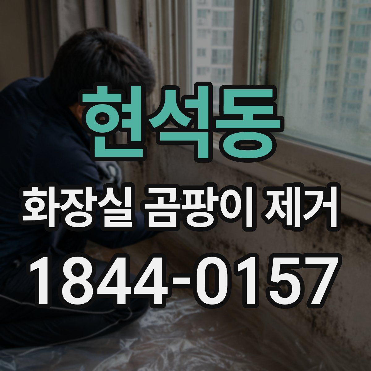 현석동 화장실 곰팡이 제거