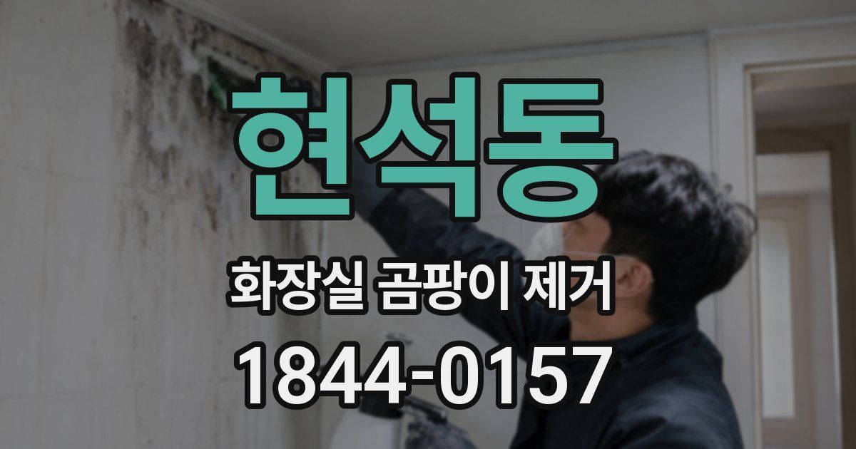 현석동 화장실 곰팡이 제거