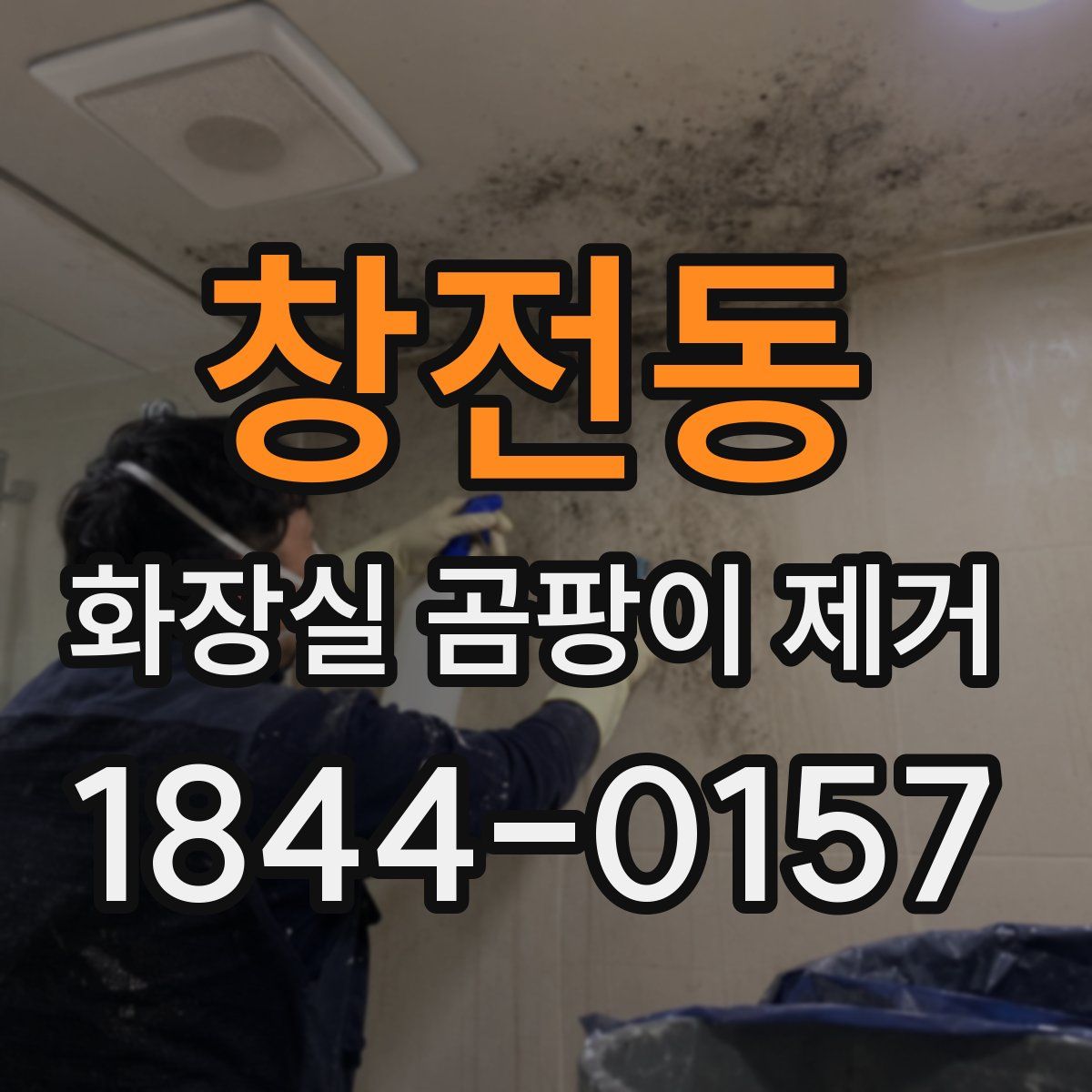 창전동 화장실 곰팡이 제거
