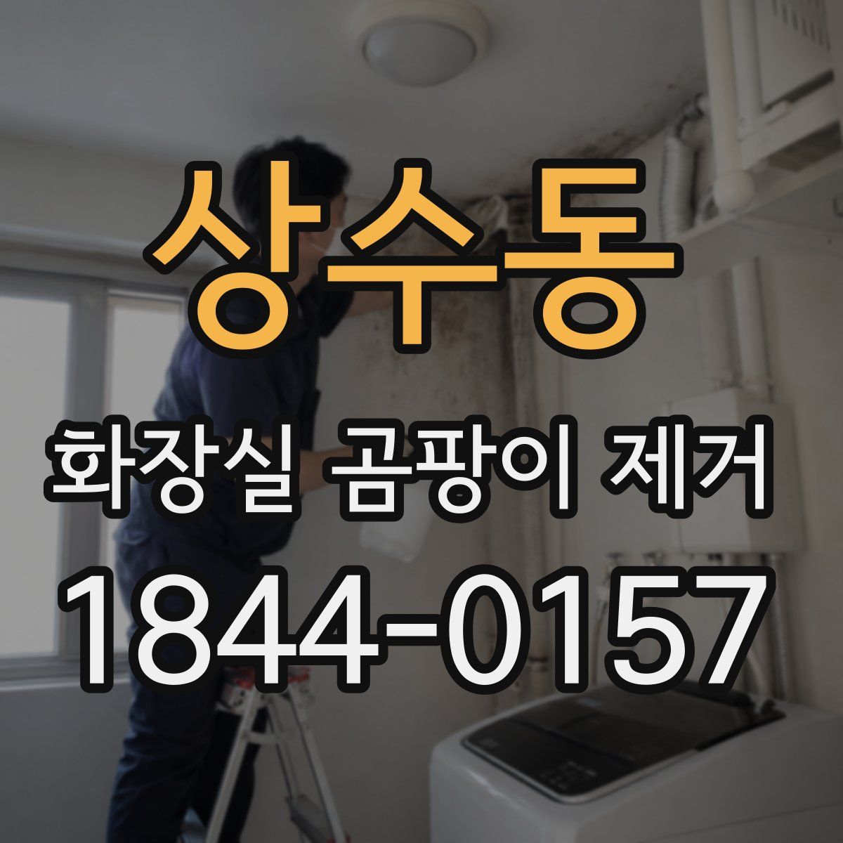 상수동 화장실 곰팡이 제거